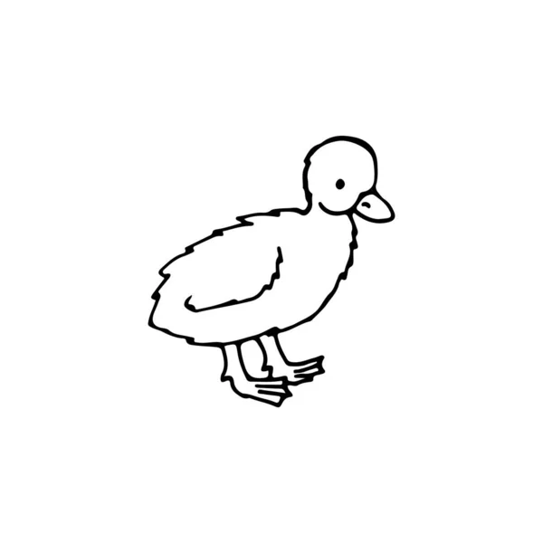 Black White Easter Doodle Duck Hand Drawn Linear Illustration Design — Stock Vector