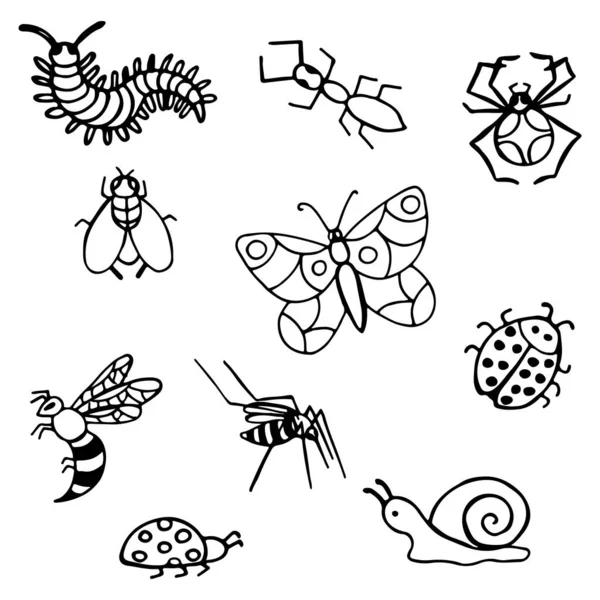 Insectes Ravageurs Gribouillis Noirs Blancs Dessinés Main Dans Style Gribouillis — Image vectorielle