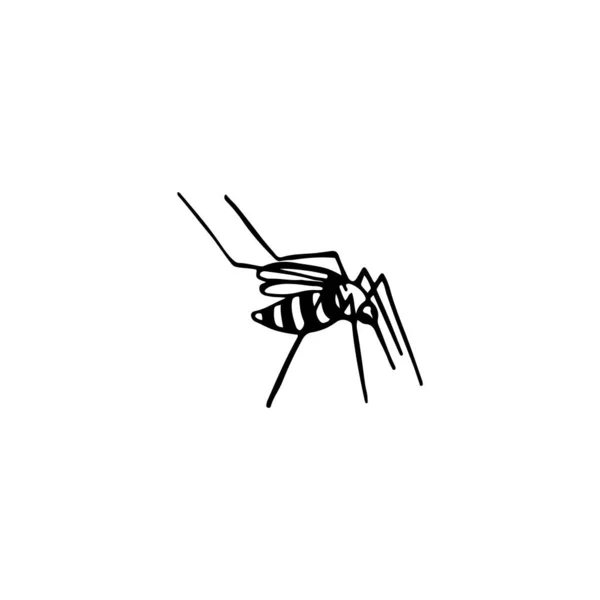 Zanzara Scarabocchiata Lineare Bianco Nero Disegnata Mano Immagine Vettoriale Stampa — Vettoriale Stock