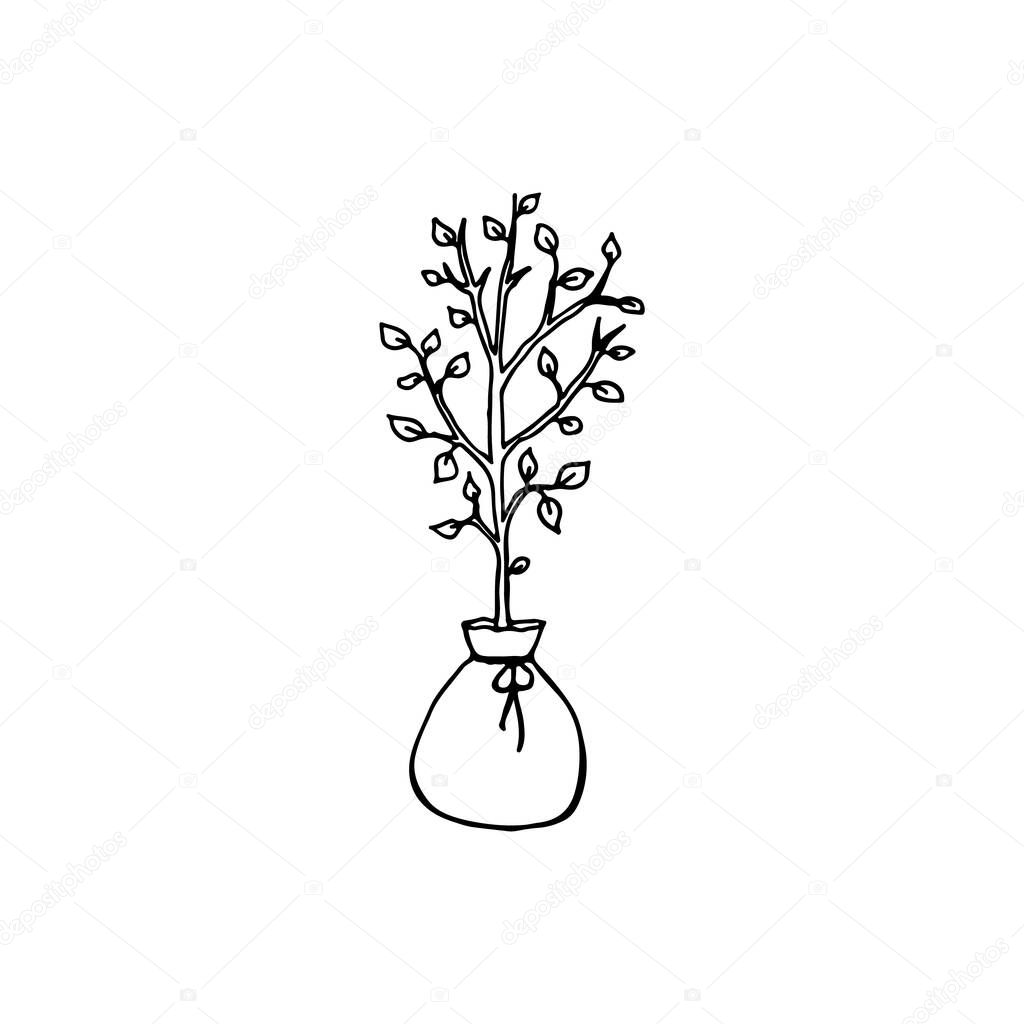 Black and white image of a tree seedling. Vector illustration. Hand-drawn doodle for design, web, icons.