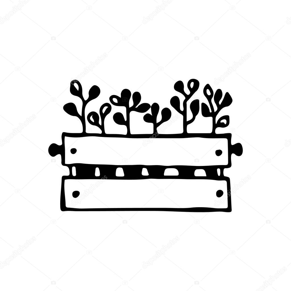 Black and white image of a box with seedlings. Vector illustration. Hand-drawn doodle for design, web, icons.