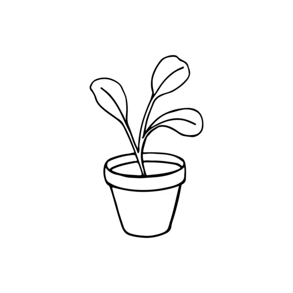 Ασπρόμαυρη Εικόνα Γλάστρας Σπορόφυτα Εικονογράφηση Διανύσματος Χειροποίητο Σκίτσο Για Σχεδιασμό — Διανυσματικό Αρχείο