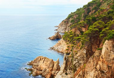 Tossa de mar