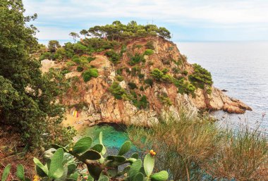 Tossa de mar