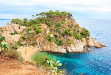 Tossa de mar