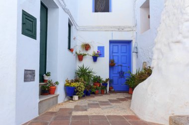 Pitoresk sokak bitkiler ile dekore edilmiştir. Frigiliana, Endülüs, İspanya