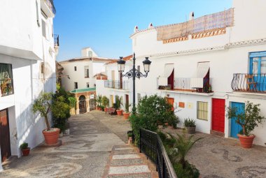 Pitoresk sokak bitkiler ile dekore edilmiştir. Frigiliana, Endülüs, İspanya