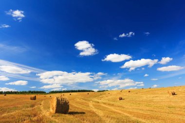 saman balya ile hasat alanı