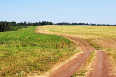 Kırsal manzara yol ile