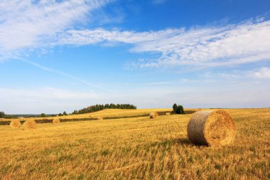 saman balya ile hasat alanı