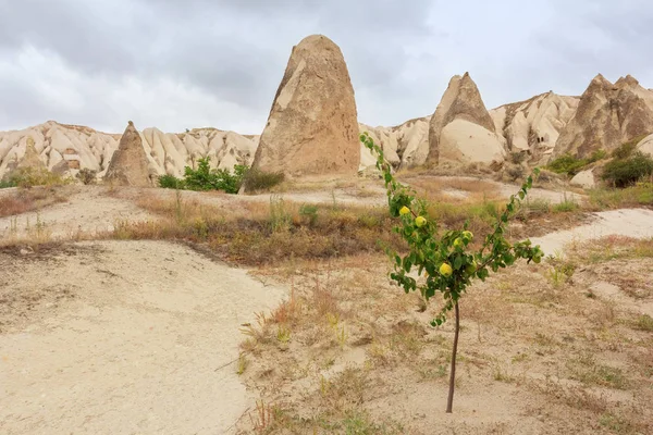 Formaciones Piedra Valle Montañas Capadocia Turquía — Foto de Stock