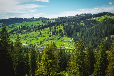 Karpatlar Ukrayna dağlarda tren sürmek