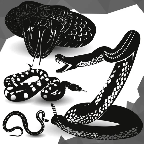 Векторная иллюстрация гремучей змеи — стоковый вектор