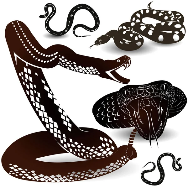 Viper Rattlesnake значок Векторні ілюстрації — стоковий вектор