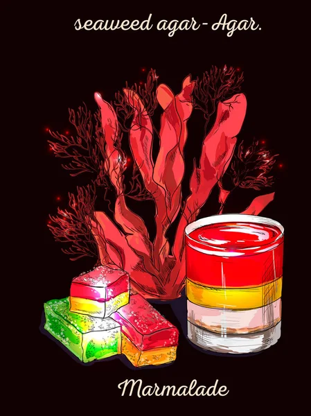 Sualtı yosun deniz yosunu öğeleri vektör