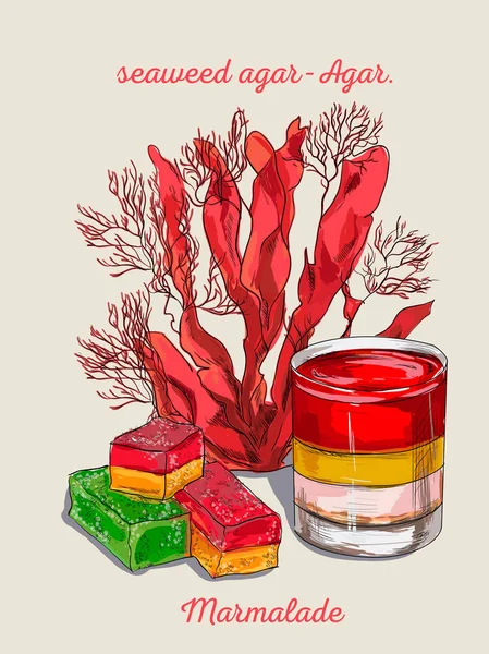 Sualtı yosun deniz yosunu öğeleri vektör