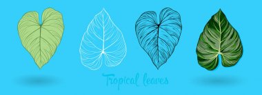 Vektör egzotik tropik yapraklar, orman bitki örtüsü üzerinde izole beyaz arka plan ayarlamak. Düz renkli stil.