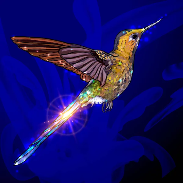 Bee Hummingbird - Mellisuga helenae. Realistisk vektorillustration av en flygande hane, världen s minsta fågel med färgglada skimrande fjäderdräkt på mörk bakgrund. — Stock vektor