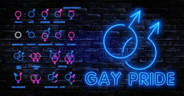 Velký set neonový nápis. LGBT neony vector šablony návrhu. Gay Pride neon logo, lehké banner design prvek barevné moderní design trend, noc jasná reklama, jasné znamení. Vektorové ilustrace — Stockový vektor