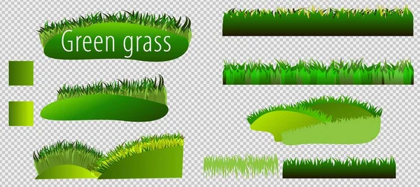 Green Grass Borders Big Set Isolato Sfondo Trasparente Illustrazione Vettoriale — Vettoriale Stock