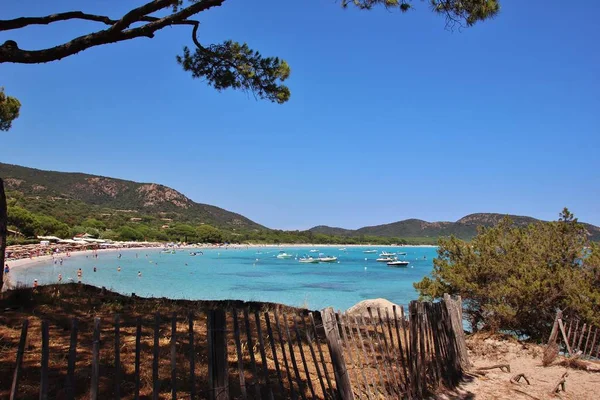 Palombaggia Beach Corsica França — Fotografia de Stock
