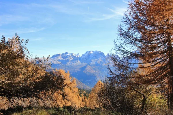 Wysokie Skaliste Szczyty Malga Ritorto Madonna Campiglio Dolomity Brenty Trentino — Zdjęcie stockowe