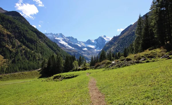 Cesta Údolí Valnontey Národní Park Gran Paradiso Údolí Aosta Itálie — Stock fotografie