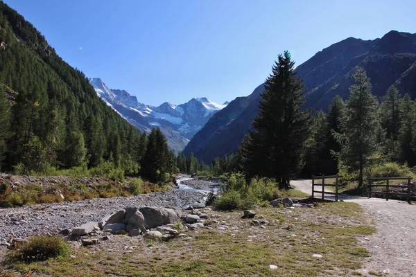Valnontey National Park Gran Paradiso Údolí Aosta Itálie — Stock fotografie