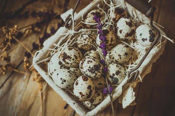 Huevos de codorniz en una canasta de alambre forrada, sobre paja, con flores secas beige y ramitas de lavanda sobre fondo de madera de granero, Pascua, estilo vintage rústico — Foto de Stock