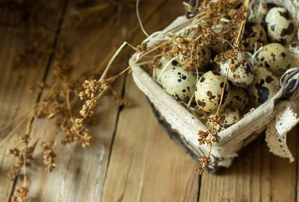 Huevos de codorniz en una canasta de alambre forrada, sobre paja, con flores secas beige sobre fondo de madera de granero, Pascua — Foto de Stock