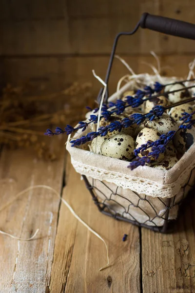 Huevos de codorniz en una canasta de alambre forrada, sobre paja, con ramitas de lavanda sobre fondo de madera de granero, Pascua, estilo vintage rústico — Foto de Stock