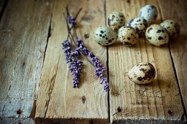 Huevos de codorniz dispersos en madera de granero con ramitas de lavanda, decoración de Pascua, concepto minimalista simplicidad — Foto de Stock