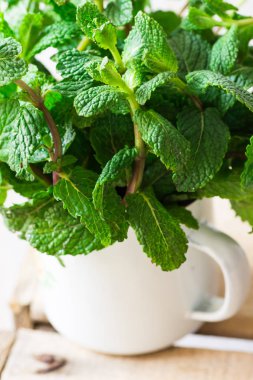 Taze organik nane bir emaye kupa yıpranmış tahta kutu, bahar ya da yaz, doğal ışık demeti