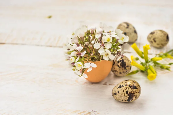 Delicadas flores de campo blanco en cáscara de huevo, huevos de codorniz, amarillo, sobre fondo de madera, decoración de Pascua — Foto de Stock