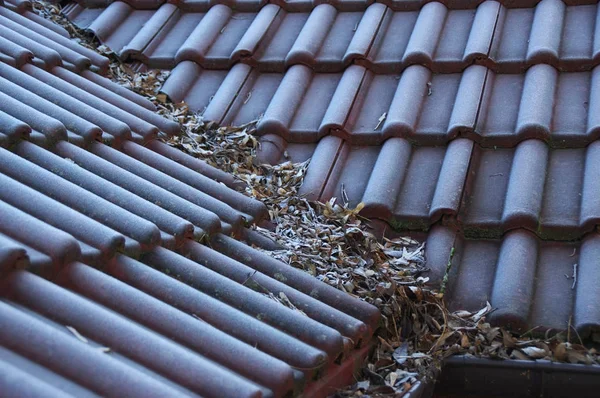 Rimfrosten på tak — Stockfoto