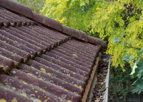 Brudny dach i rynny — Zdjęcie stockowe