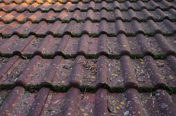 Dirty roof and gutter — Stock Photo, Image