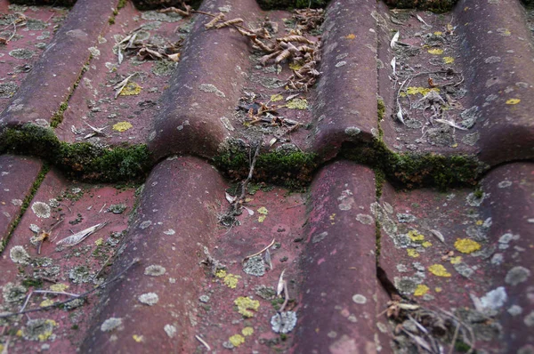 Dirty roof and gutter — Stock Photo, Image