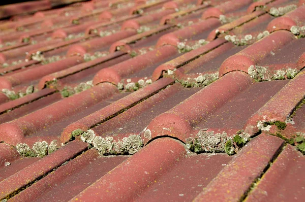 Smutsiga tak och rännstenen — Stockfoto