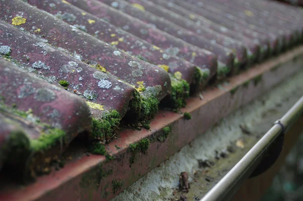 Dirty roof and gutter — Stock Photo, Image