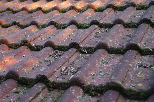 Dirty roof and gutter — Stock Photo, Image