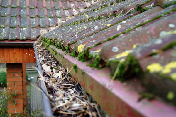 コケや葉から樋を清掃 — ストック写真