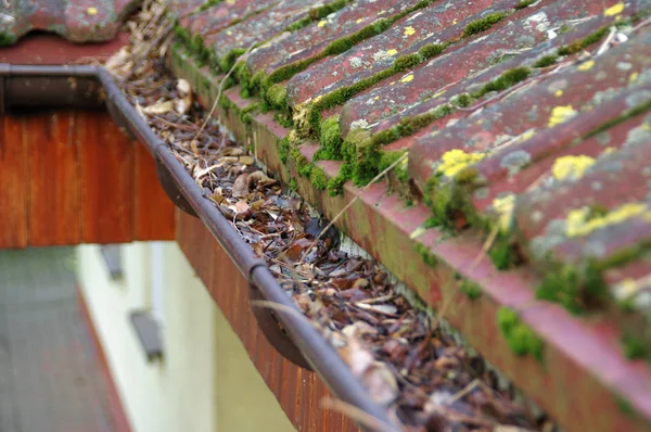 Pulizia grondaia da muschio e foglie — Foto Stock