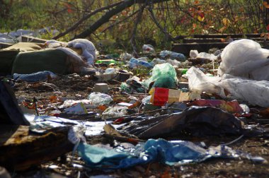 Ormanda plastik çöp