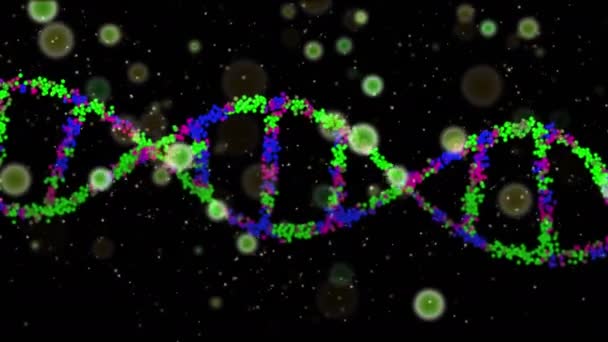 Dna Helix Innerhalb Der Bakterienzelle Biologie Viren Wissenschaft Medizin Gmo — Stockvideo