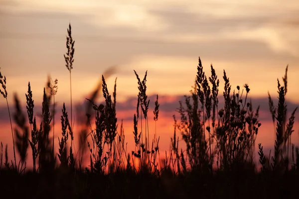 Hora de atardecer y amanecer. Contexto — Foto de Stock