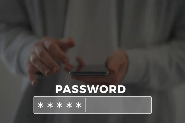 Casella Password Nel Browser Internet — Foto Stock