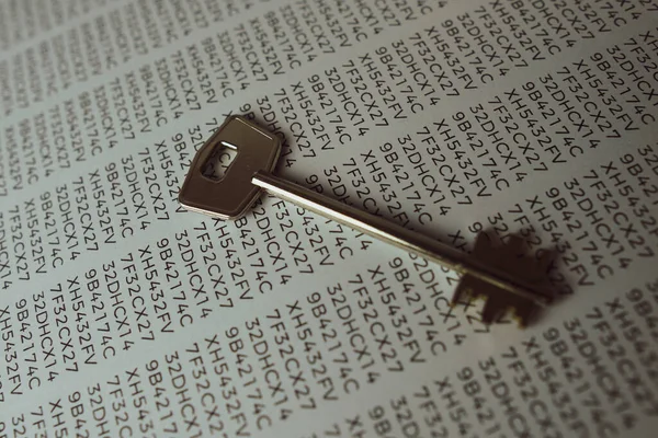 İnternet güvenliği, anahtar ve kişisel bilgi parolasının görüntüsünü kavra.