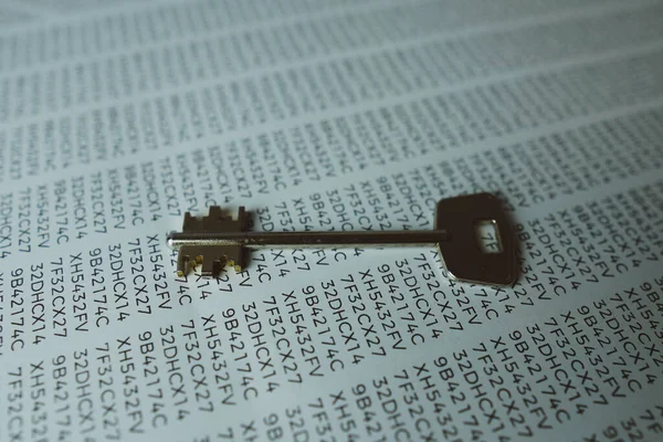 İnternet güvenliği, anahtar ve kişisel bilgi parolasının görüntüsünü kavra.