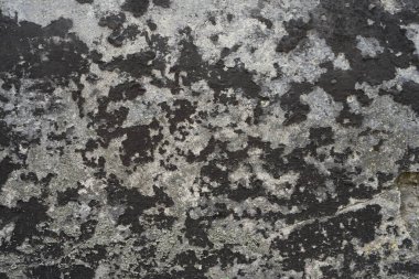 Doku arkaplanı için duvar, Boş alan şablonu.